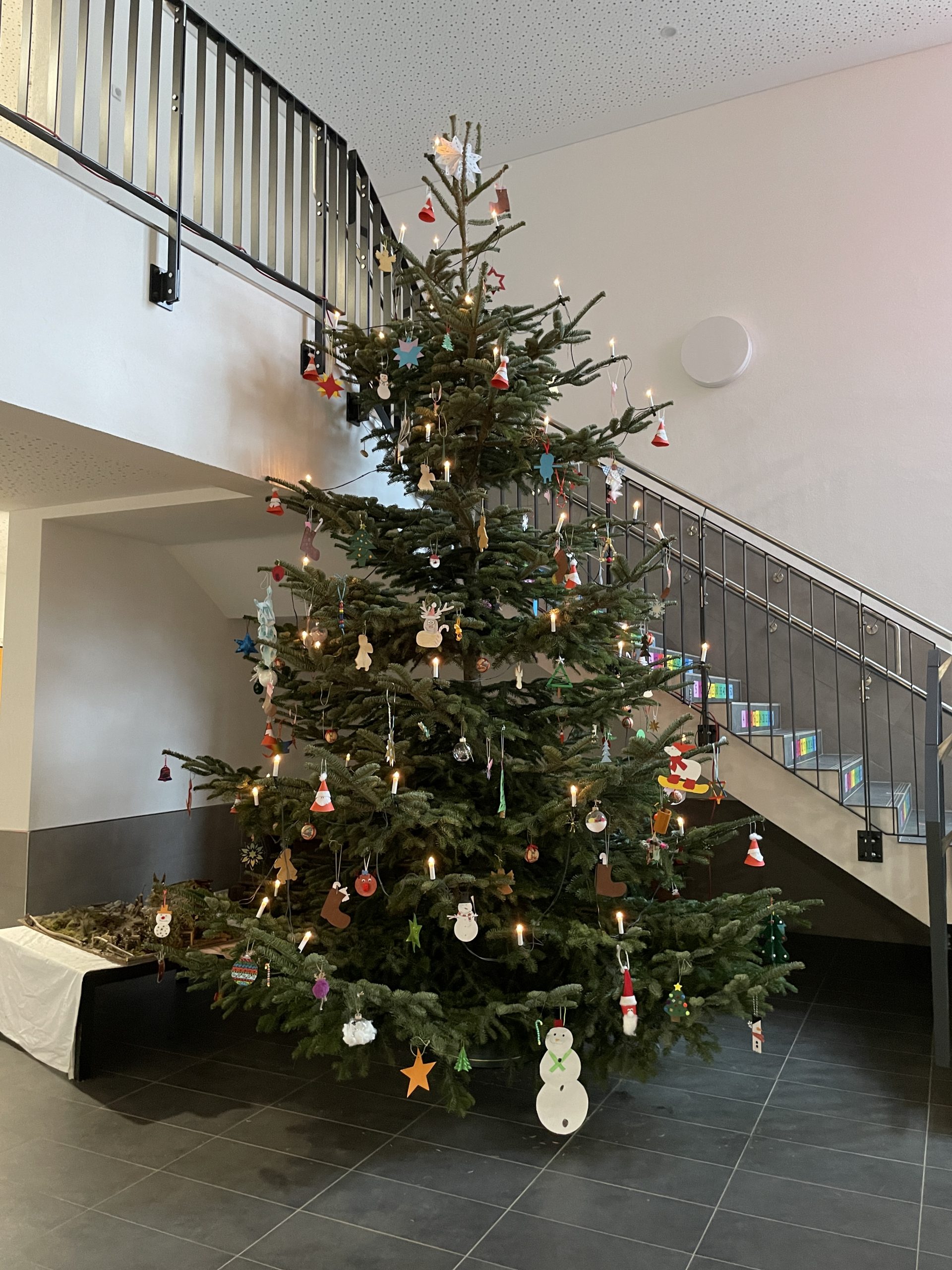 Bunter Weihnachtsbaum Waldschule Montabaur